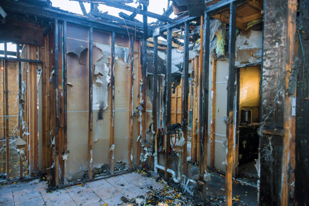 Professional Fire Damage Removal technician working in Idaho, ID
